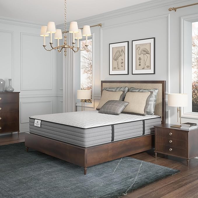 Kingsdown Passions Imagination Firm Mattress, Twin