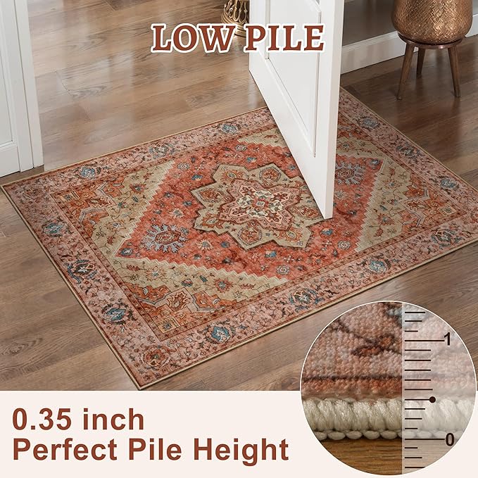 Tangsoo 4x6 Area Rug for Living Room, Washable Vintage Indoor, Distressed Carpet for Bedroom Non Slip for Dining Room, Soft Low Pile Rugs Foldable Floor Rug for Dorm Bedside Bathroom