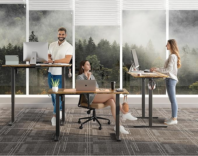 Electric Standing Desk Adjustable Height Stand Up Desk Ergonomic Sit Stand Desk for for Work Office Home Computer Desk Workstation (Rustic Brown C65, 48 * 24)