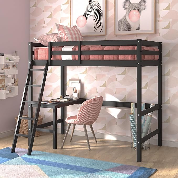 Hillsdale Caspian Youth Solid Wood Twin Loft Bed for Kids Room, Black