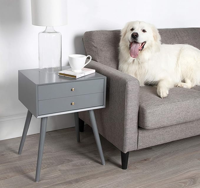 Kate and Laurel Finco Midcentury Modern Style Side Table with 2 Drawers, Gray Finish with Brass Hardware