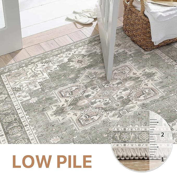 GENIMO 5x8 Area Rugs for Living Room, Machine Washable Low Pile Rugs, Chenille Non Alip Vintage Rug for Bedroom, Dining Room, Home Office, Moonlight