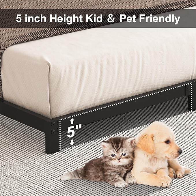 5 Inch Low Queen Bed Frame, Heavy Duty Bed Frame Queen Size Low Profile, No Box Spring Needed, Easy Assembly, Noise Free, Black