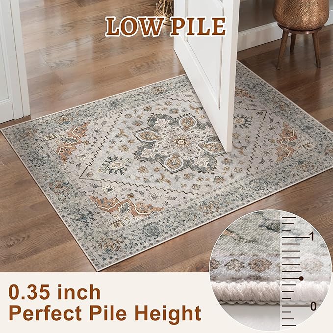 Tangsoo 4x6 Area Rug for Living Room, Washable Vintage Indoor, Distressed Taupe Carpet for Bedroom, Non Slip Dining Room Rugs, Soft Low Pile Rugs Foldable Floor Rug for Dorm Bedside Bathroom
